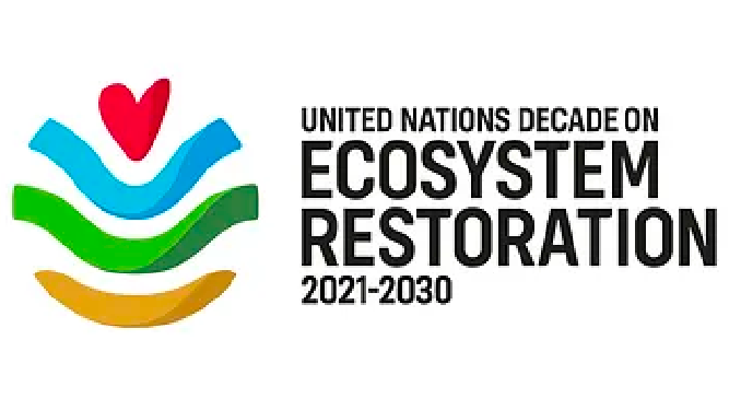 Killimanjaro Project Website Logos_UN ecosystem restoration